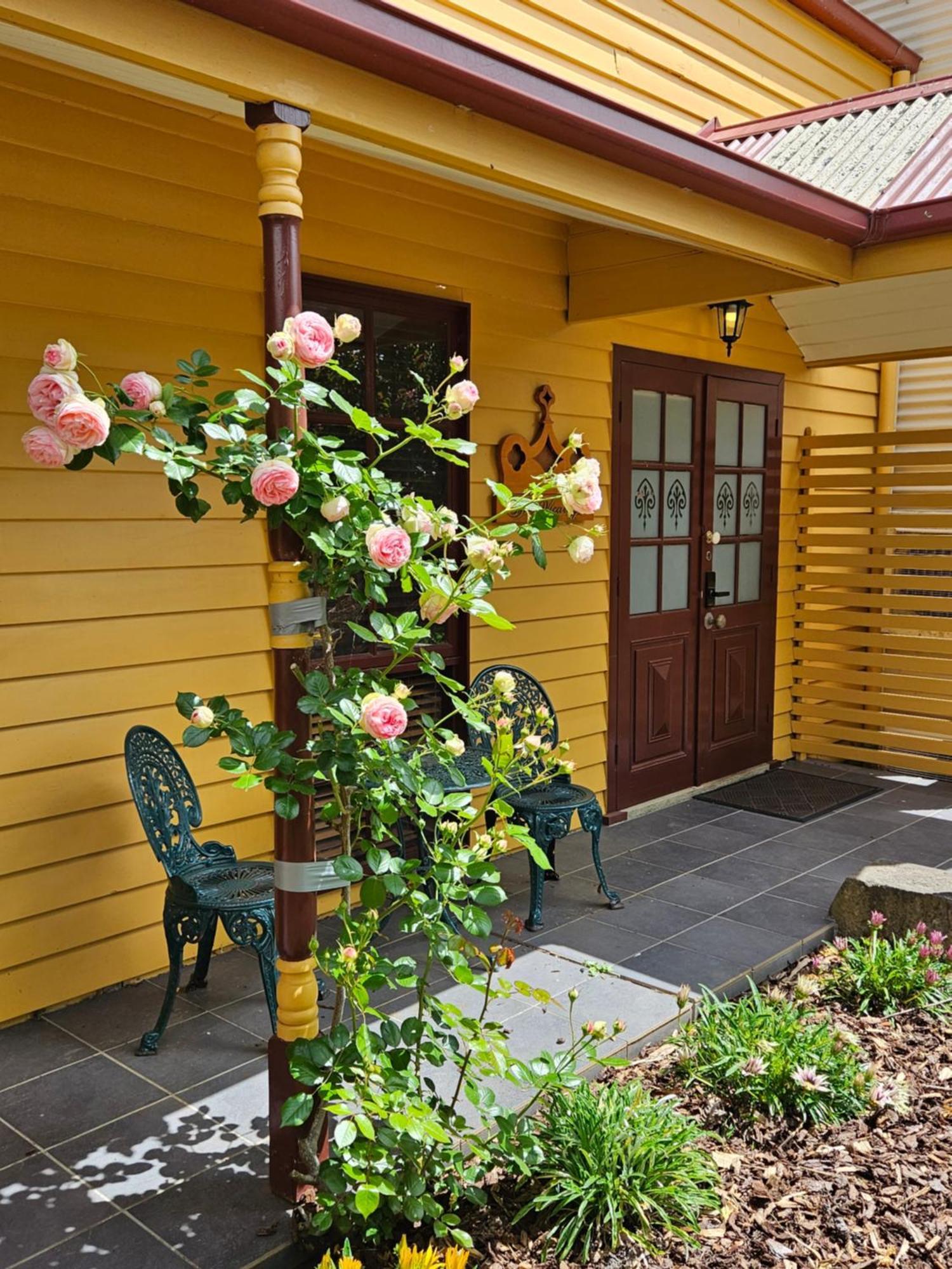 The Camperdown Mill Aparthotel Buitenkant foto